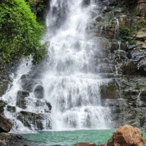 Carta da parati Cascata con rocce e alberi
