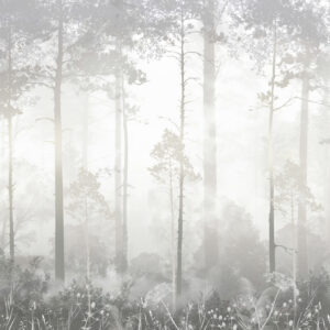 Carta da parati Foresta nella nebbia