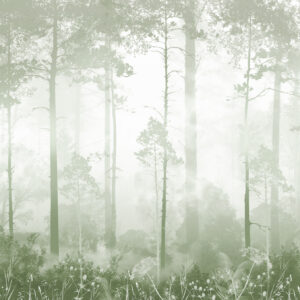 Carta da parati La foresta nella nebbia