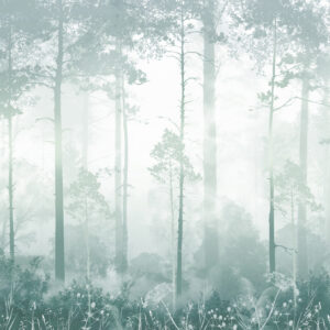 Carta da parati La foresta nella nebbia