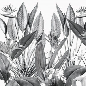 Carta da parati Piante della giungla tropicale colore bianco e nero