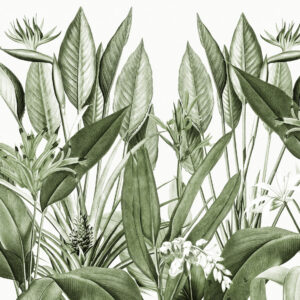 Carta da parati Piante tropicali colore verde giungla