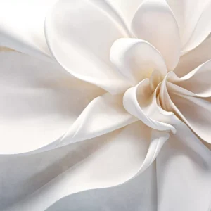 Rosa Avvolgente
