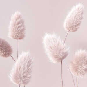 Carta da parati Fiori secchi rosa in stile boho