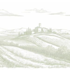 Carta da parati Paesaggi della Toscana, Italia, vigneti, natura, antico castello, colori verdi