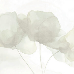 Carta da parati Bellissimi fiori, colori pastello tenui, minimalismo, naturale, rustico, beige e verde