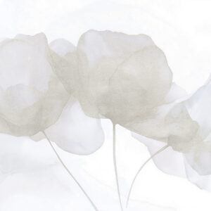 Carta da parati Bellissimi fiori, colori pastello tenui, minimalismo, naturale, rustico, beige e blu