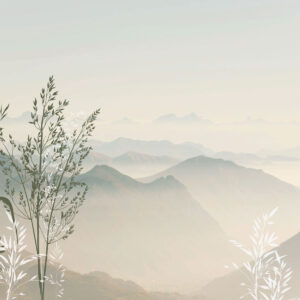 Carta da parati Vista montagna con piante e fiori