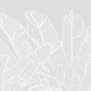 Carta da parati Foglie di banano tropicali colore grigio minimalismo nuova tendenza